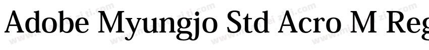 Adobe Myungjo Std Acro M Regular字体转换